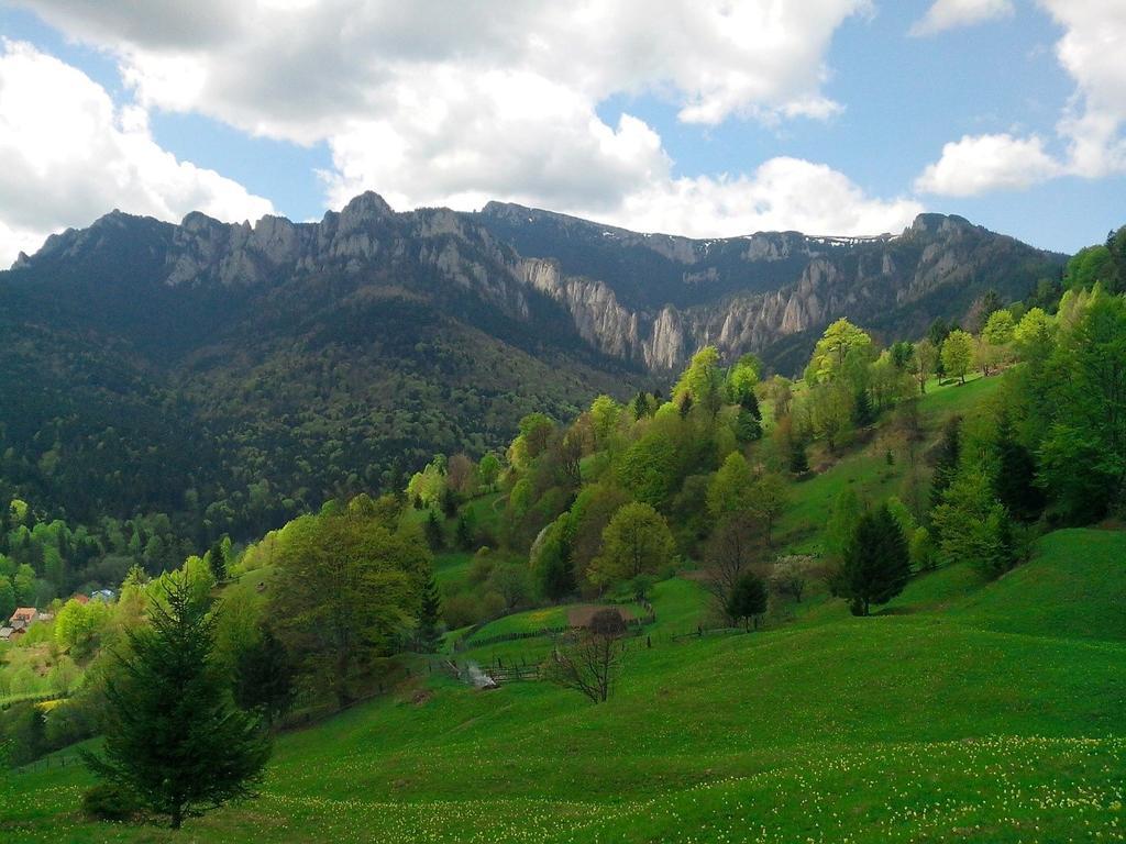 Pensiunea Bobu Hotel Izvoru Muntelui Buitenkant foto
