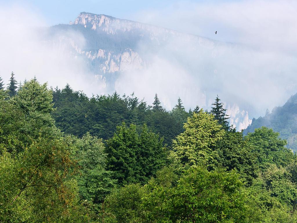 Pensiunea Bobu Hotel Izvoru Muntelui Buitenkant foto