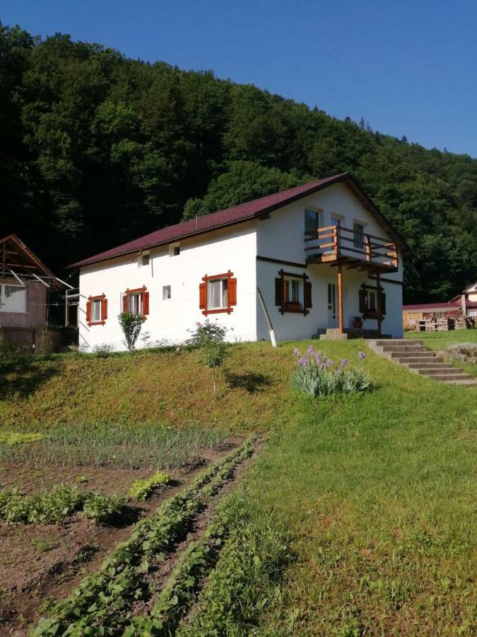 Pensiunea Bobu Hotel Izvoru Muntelui Buitenkant foto